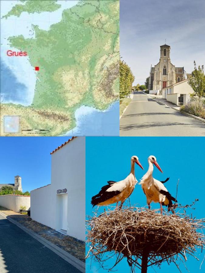 Galta Des Matrus Appartement Cosy 8Kms De L Ocean Grues 外观 照片